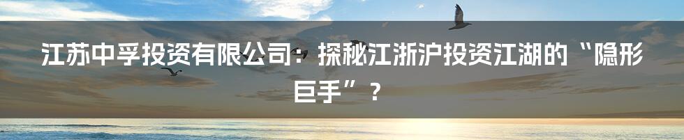 江苏中孚投资有限公司：探秘江浙沪投资江湖的“隐形巨手”？