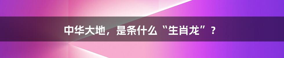 中华大地，是条什么“生肖龙”？