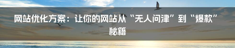 网站优化方案：让你的网站从“无人问津”到“爆款”秘籍