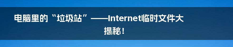 电脑里的“垃圾站”——Internet临时文件大揭秘！