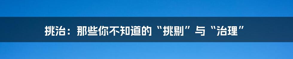 挑治：那些你不知道的“挑剔”与“治理”