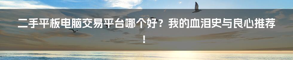 二手平板电脑交易平台哪个好？我的血泪史与良心推荐！