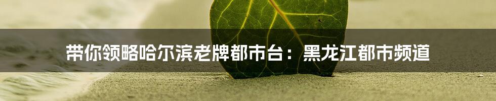 带你领略哈尔滨老牌都市台：黑龙江都市频道