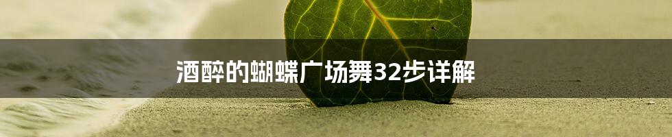 酒醉的蝴蝶广场舞32步详解